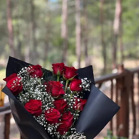 Pydnai_village * Gavuragili